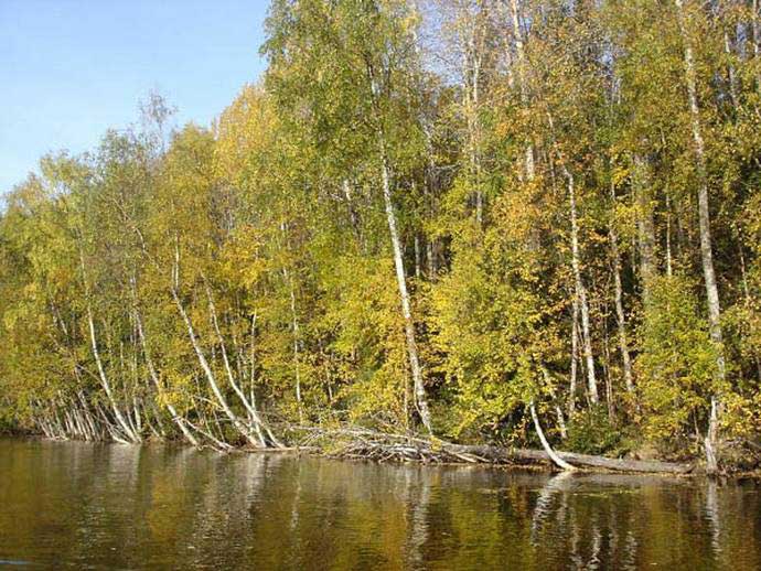 Золотая осень на Соловках. Лодочный поход по озерно-канальной системе.