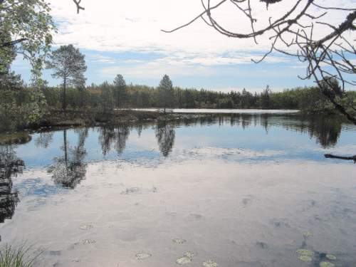 Святое озеро с чистейшей водой с о.Анзер соловецкого архипелага