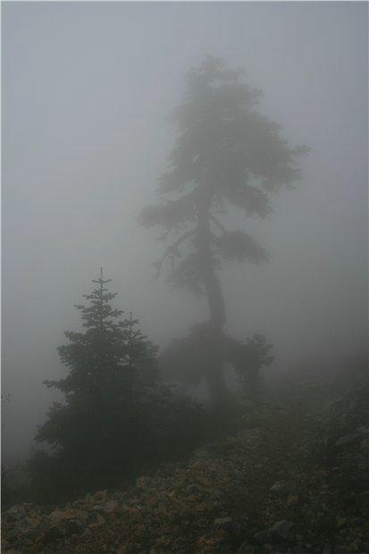 Обратный путь.