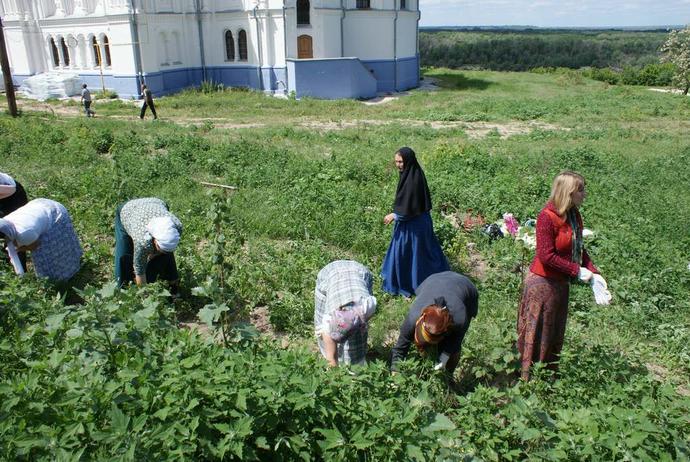 После экскурсии дети и взрослые имели счастливую возможность потрудиться во славу Божию 