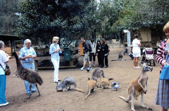 Зоопарк австралийских животных